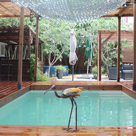 Bed and Breakfast Les 2 Droles D'Oiseaux Luc-sur-Orbieu Esterno foto